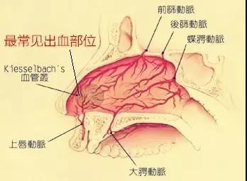 黎氏区