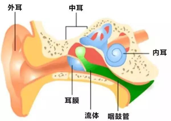 急性化脓性中耳炎