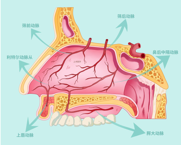 重庆仁品耳鼻喉医院