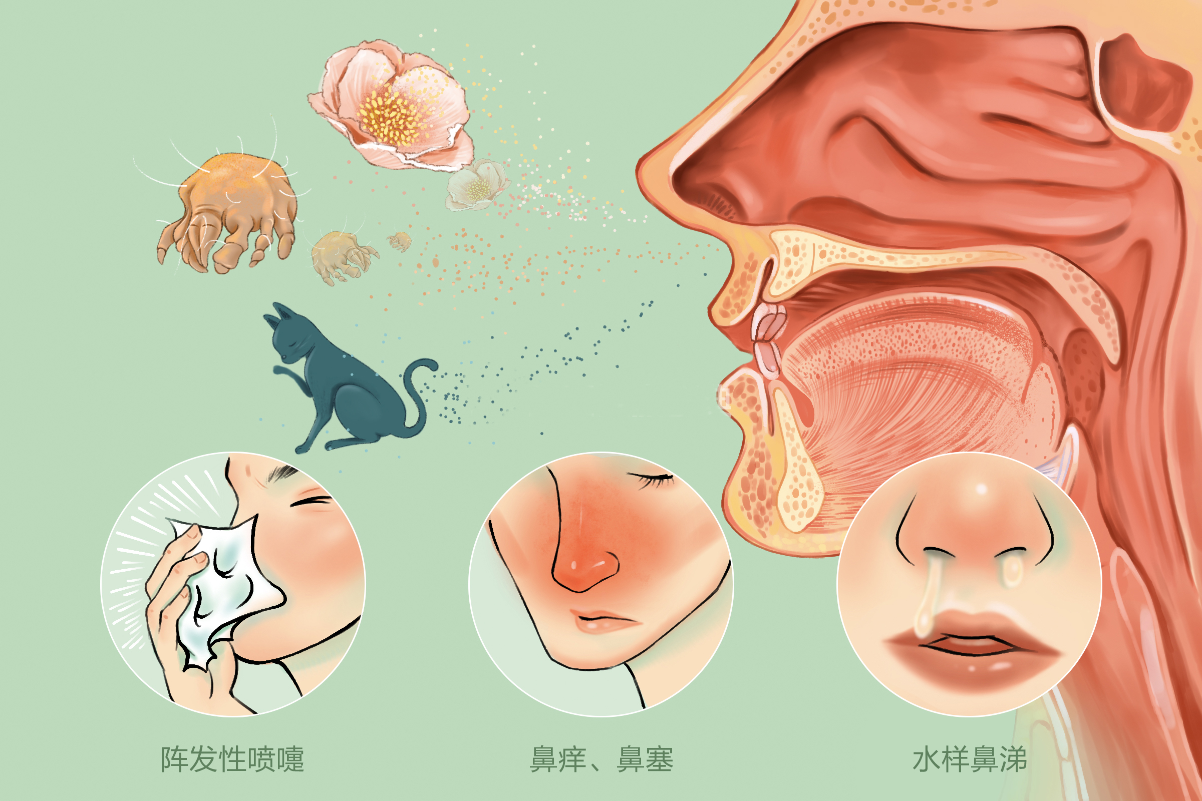 重庆治疗鼻炎专科医院